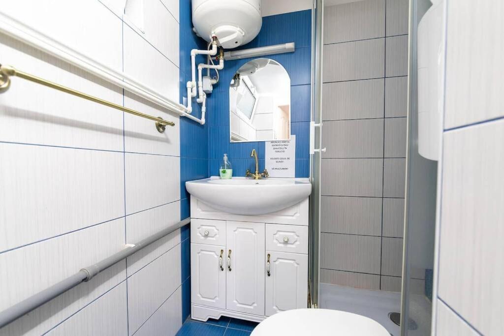Cozybucharest Studio Bagian luar foto